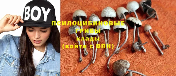 mix Абаза