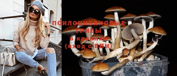 ПСИЛОЦИБИНОВЫЕ ГРИБЫ Абдулино